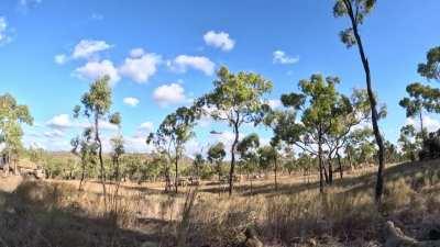 Diggers cruising around TS 2023