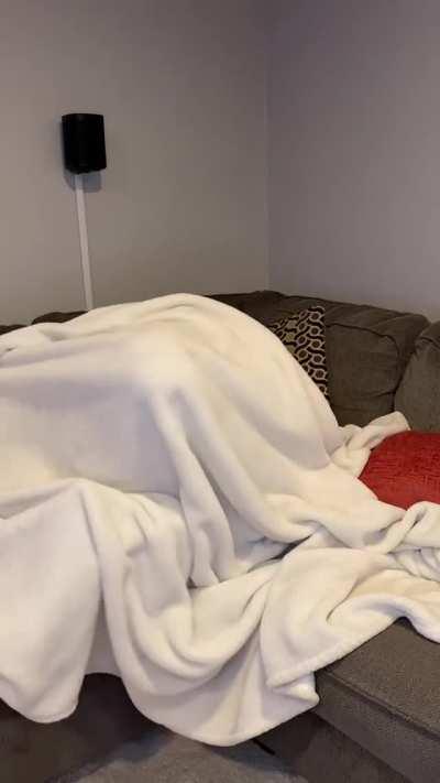 Just wOOw... (free album in the comments ) 👇👇