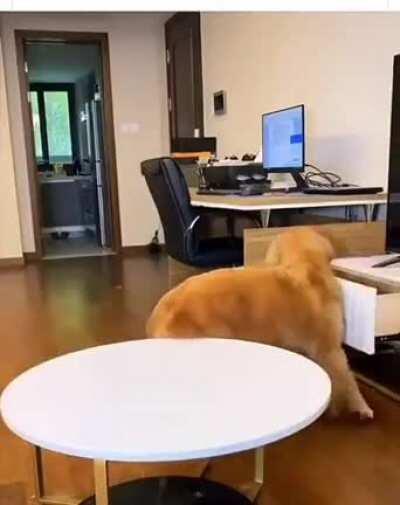 A good and bad boy at the same time