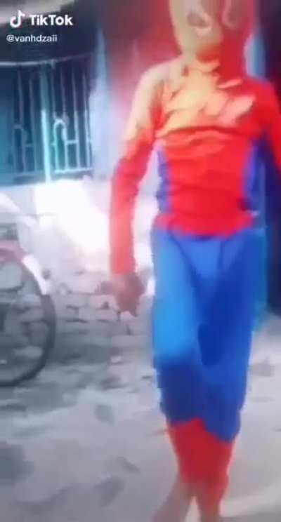 Spider man at the pototoy verse