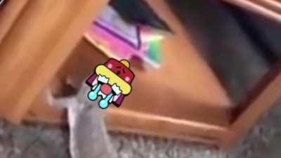 We could jump with that thing