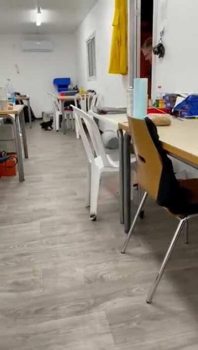 What just happened??