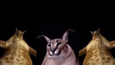 30k karmayı kutlamak için 1 dakikalık parti.