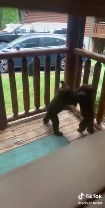 They take it out back