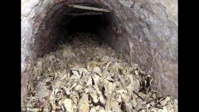 We do a little trolling 💪 😎