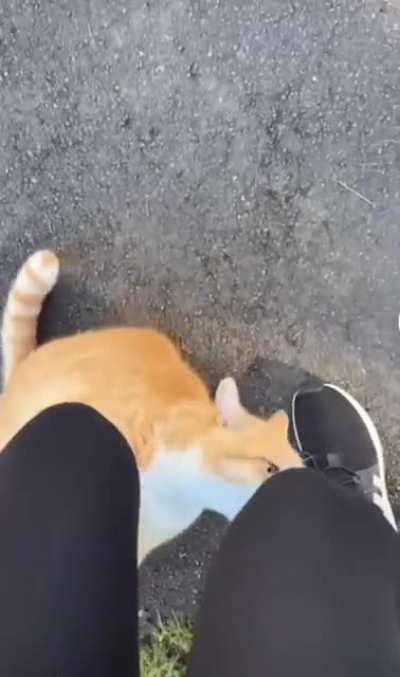 WCGW when looking for a new friend