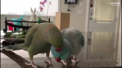 I wonder what that’s all about