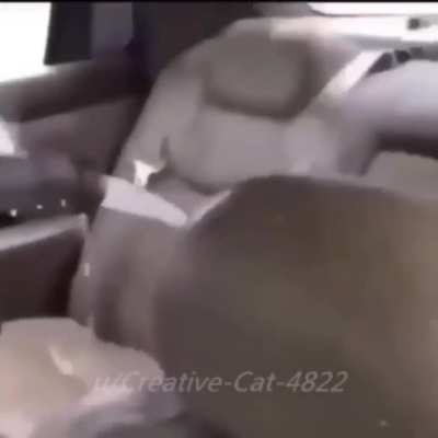 that boy stuck in time ❗❗