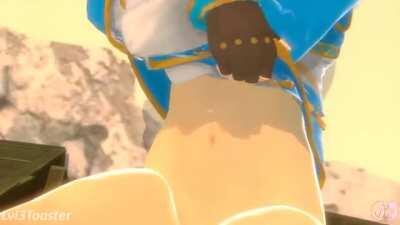 One of the best BOTW gifs I've ever seen