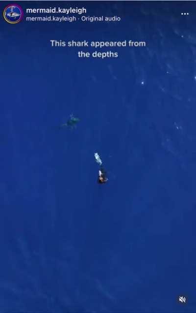 The deep blue of 1000s of feet of ocean beneath you. Credit 🎥: @Mermaid.Kayleigh