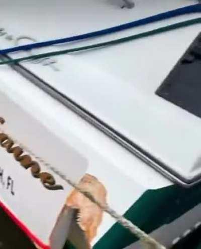 Idiots mooring boats?