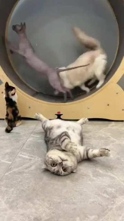 stopped working 🫤