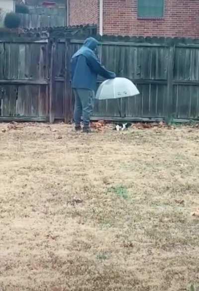 The things we do for love.