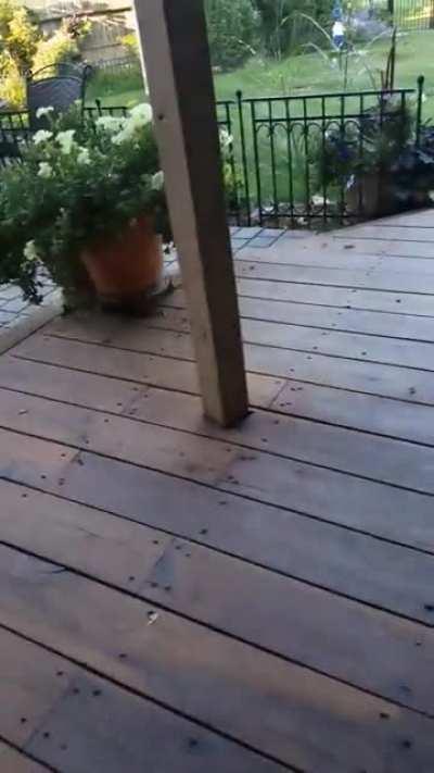 Out of my way, child!