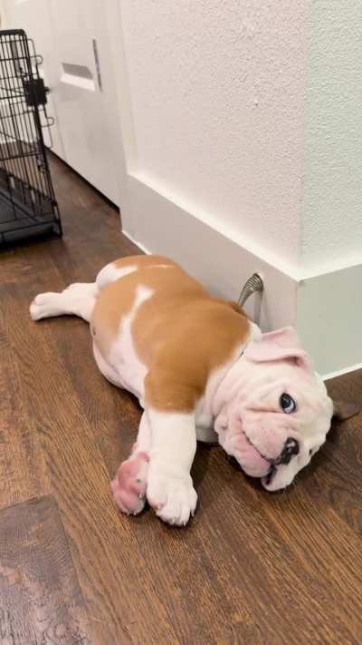 Take that, door stopper