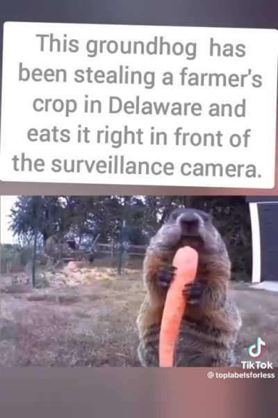 At this point, he’s just challenging the farmer..           