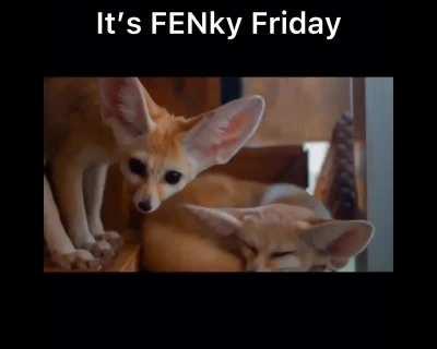 I wonder what day it is 🤔