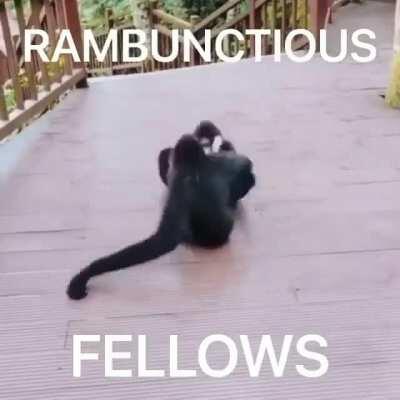 rule? Is there even a 