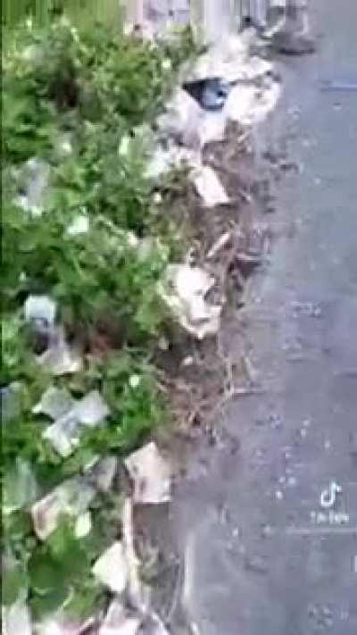 Inflation in Venezuela is so bad right now, people are literally throwing away cash likes it’s garbage. As of last week, $1 USD is 463,000 Bolívars