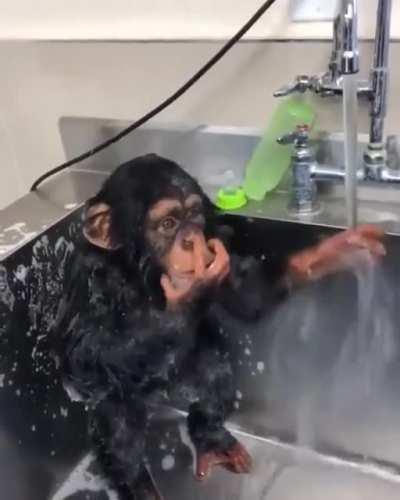 El admin antes de abrir directo 😎