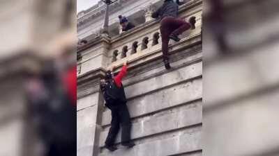 Trumpster + Wilhelm scream