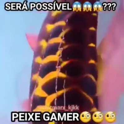 Peixe gamer