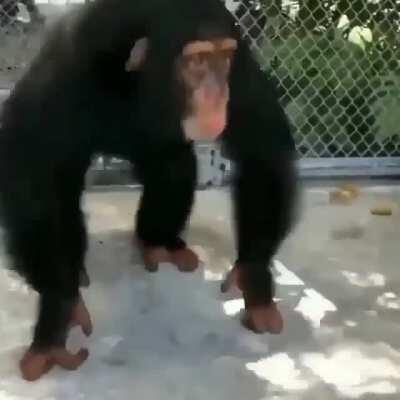 yumigahama when misasa called him a bitch