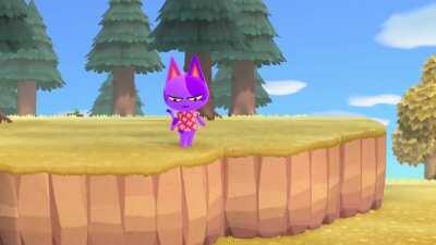 Bob tries to end it all