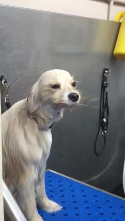 I guess Imma get clean