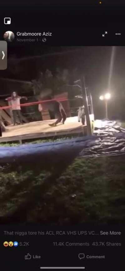 “SURPRISE FLAMINGO”