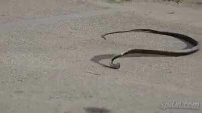 wtf is happening here??