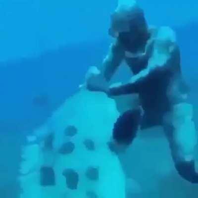 I would've died from a heart attack