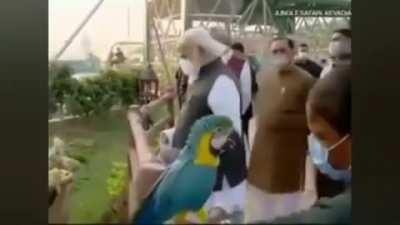 Animals are the first to sense and identify evil, hope we humans can learn from them.