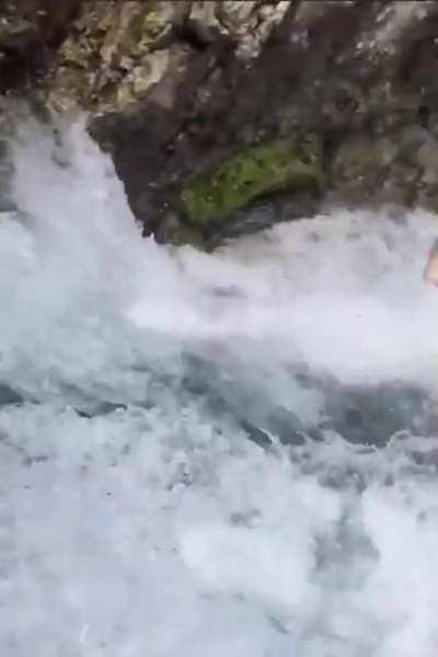 Idiot trys swimming near a waterfall.