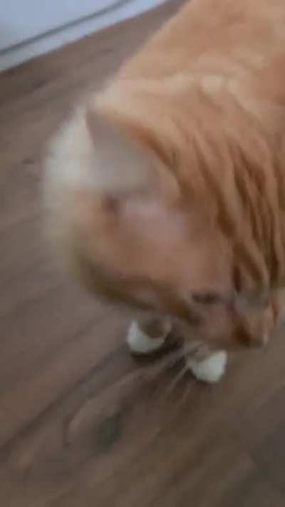 I just let him in 10 seconds ago ... I'm not playing your mind games Gus.