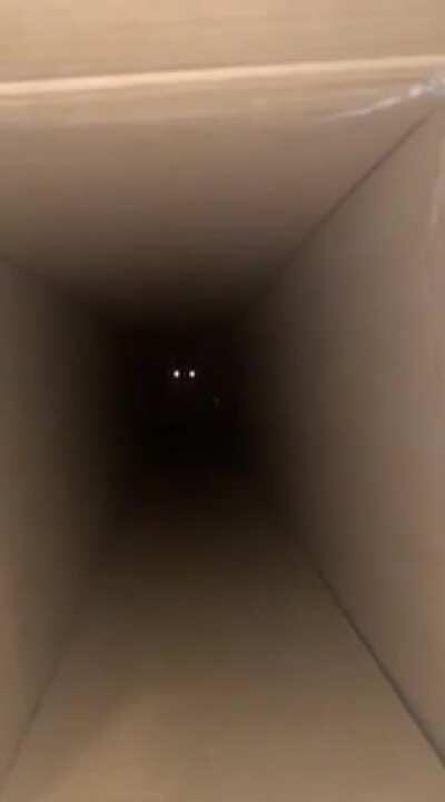 The lights at the end of the tunnel