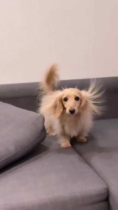Static electricity boi