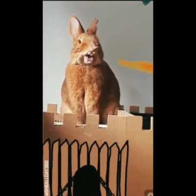 I think this belongs here