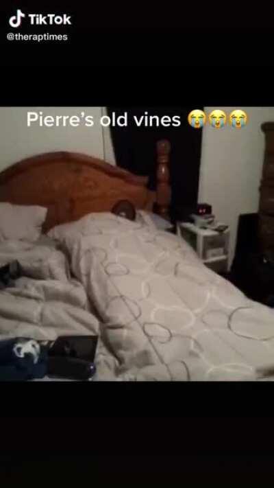 pierre bourne vine