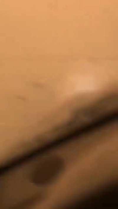 This woman got her terrifying escape through wildfire captured.