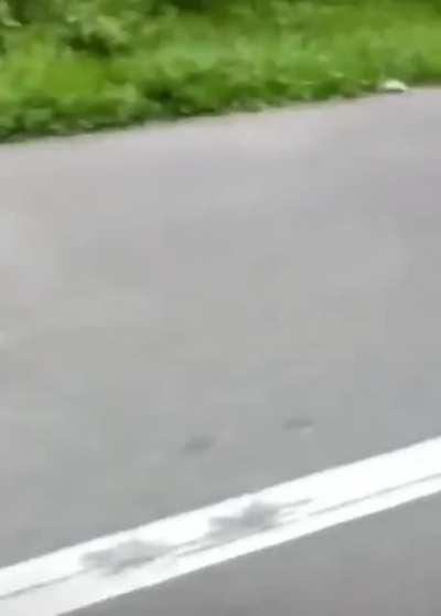 Never getting on a bike in the jungle again...