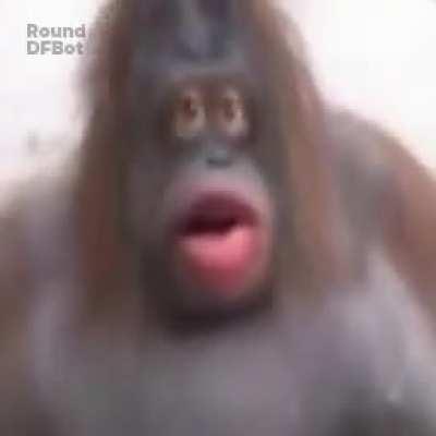 Me when no banan 😭