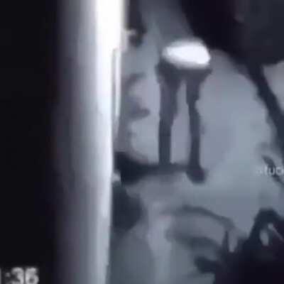 A friend sent this over Discord and I wanted to know if anybody knows its origin. [Sound Warning]