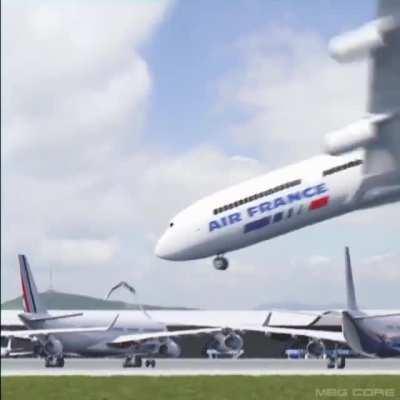 A wild plane captured on camera