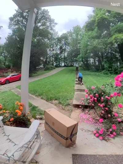 USPS mail-woman yells at my dog and kicks my deliveries down my stairs