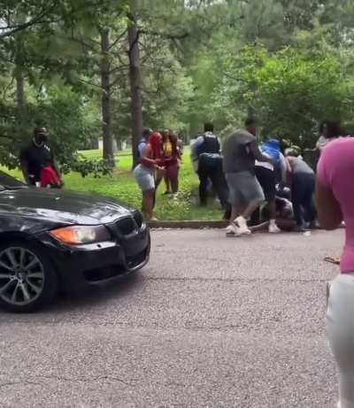 Fight broke out at the park