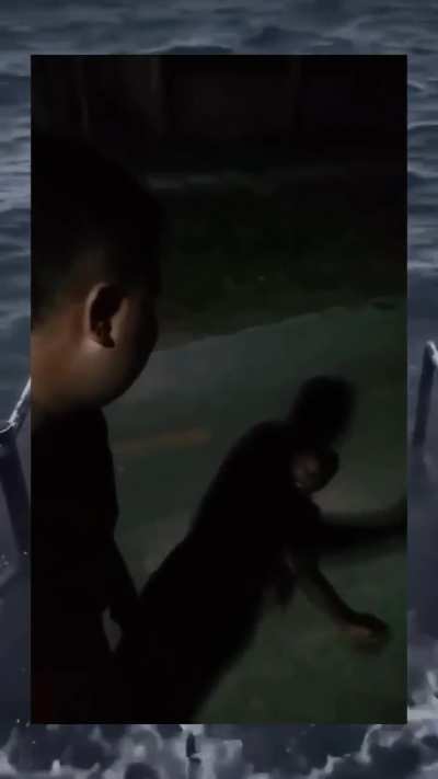 Nem tudo é o que parece