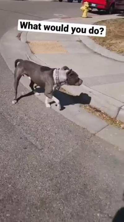 To intimidate a badass.