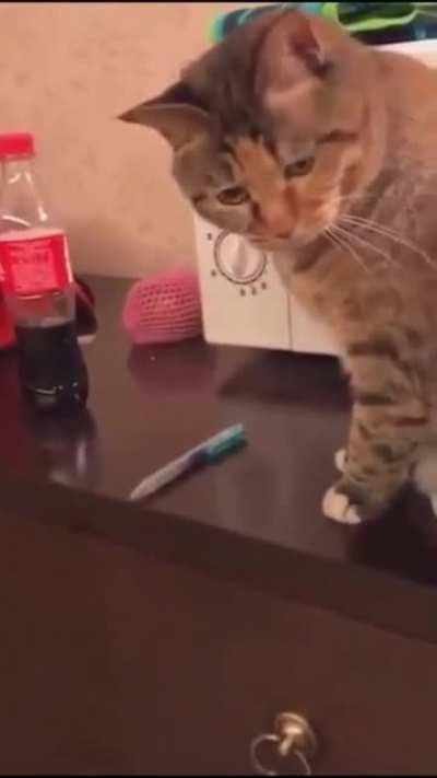 Do that one more time, I dare you!