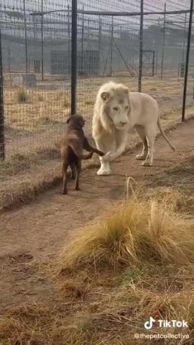 When you’re glad you swiped right on Tinder